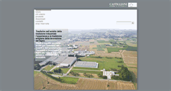 Desktop Screenshot of castiglioni.net